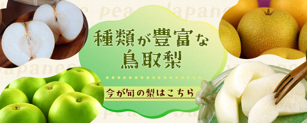 鳥取県産 二十世紀梨（20世紀梨）10kg詰（28玉前後入） 赤秀（ご贈答用 ...