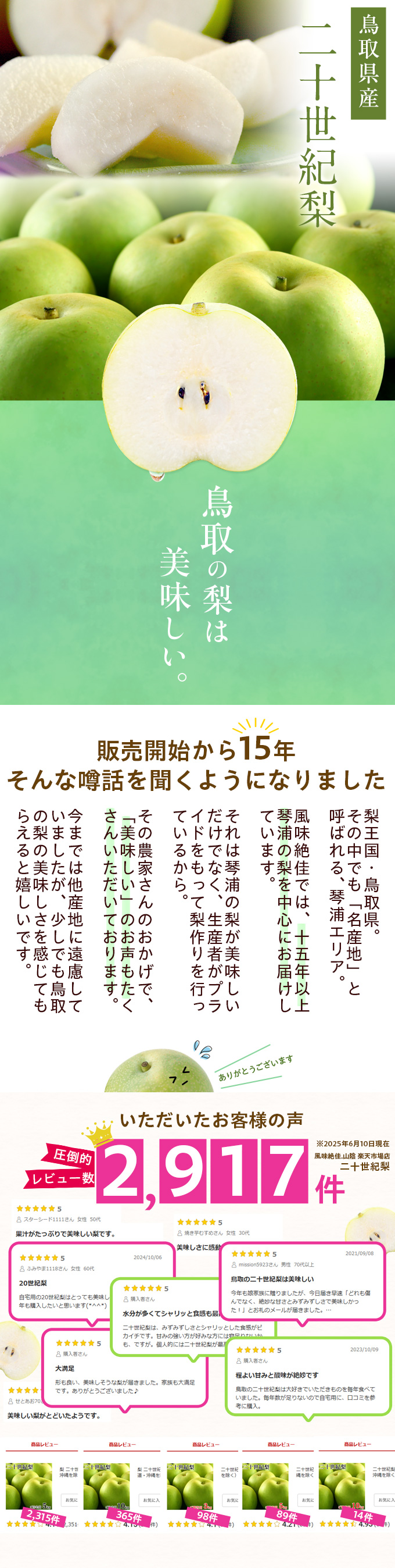 鳥取県産 二十世紀梨（20世紀梨）10kg詰（28玉前後入） 赤秀（ご