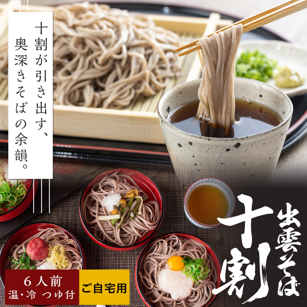 出雲十割そば 6食セット 生そば つゆ付き 出雲そば 送料無料 ネコポス