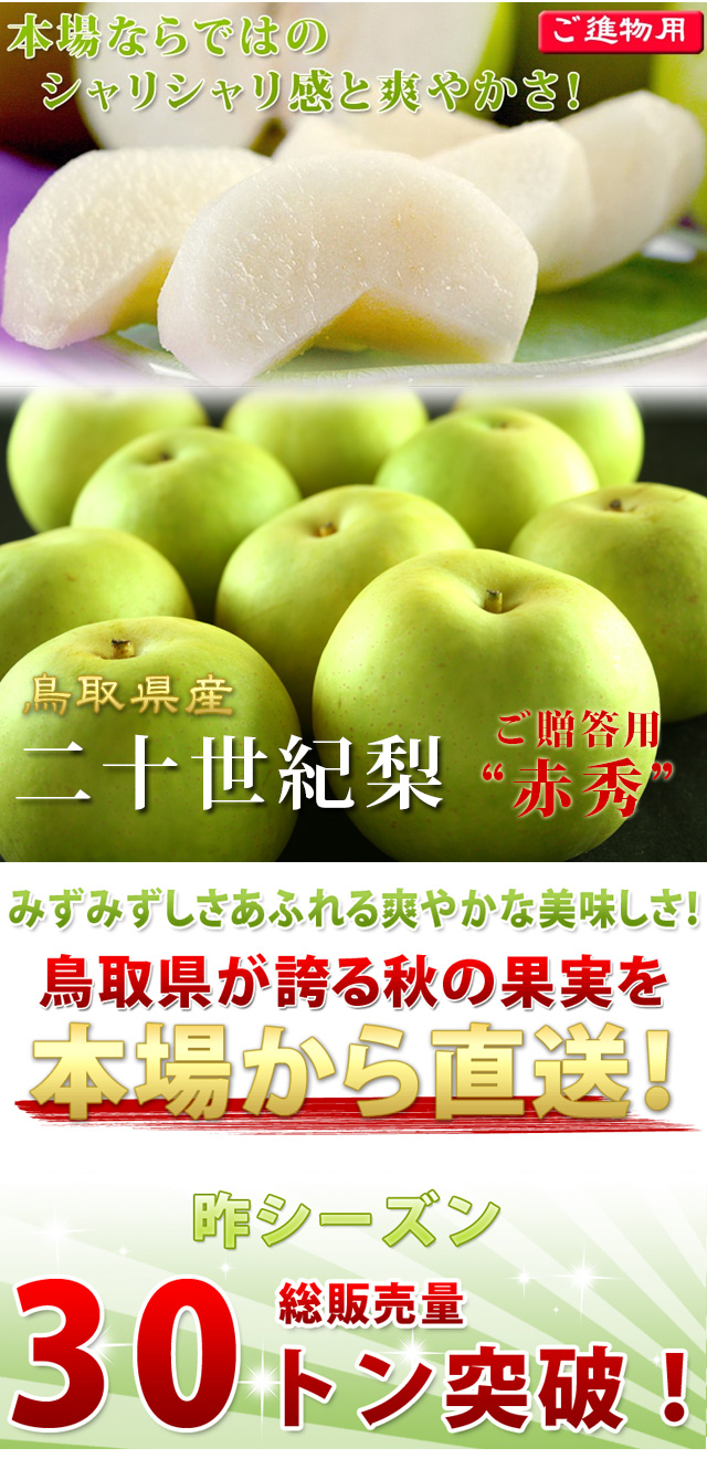 鳥取県産 二十世紀梨（20世紀梨）10kg詰（28玉前後入） 赤秀（ご贈答用 ...