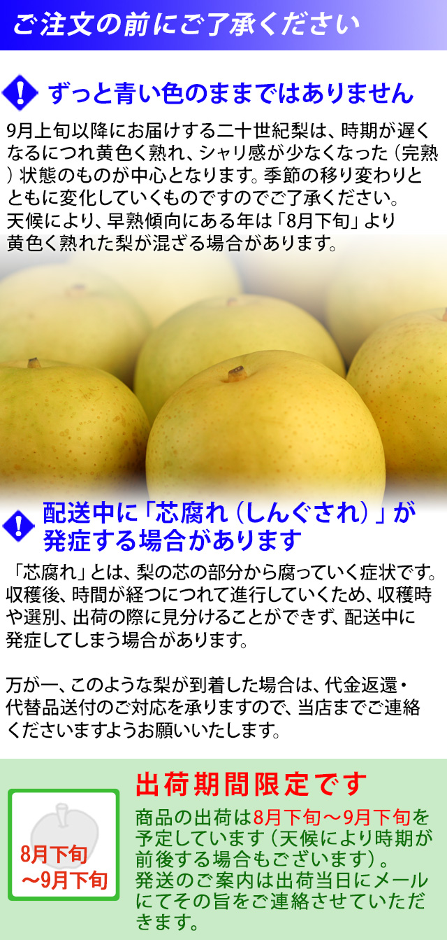 鳥取県産 二十世紀梨（20世紀梨）3kg詰（9玉前後入） 赤秀（ご贈答用） 送料無料 | 風味絶佳.山陰