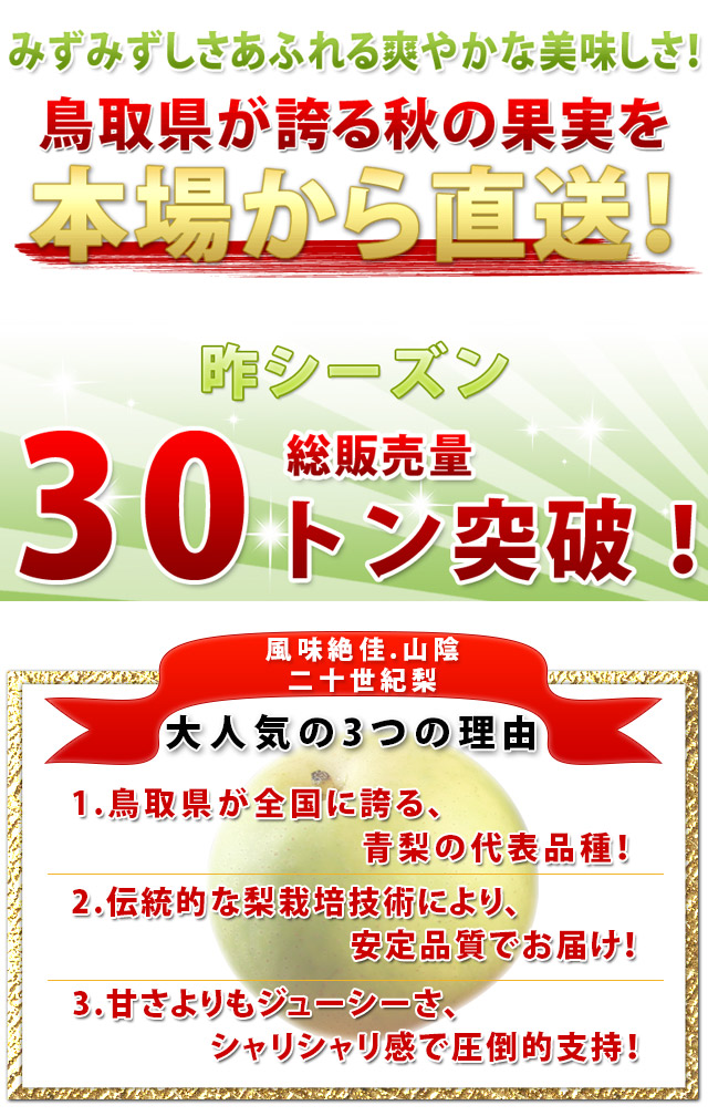 鳥取県産 二十世紀梨 20世紀梨 5kg詰 16玉前後入 訳あり ご自宅用 送料無料 風味絶佳 山陰