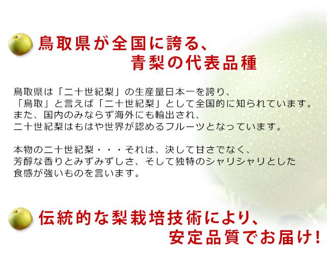 鳥取県産 二十世紀梨（20世紀梨）5kg詰（16玉前後入） 訳あり（ご自宅用） 送料無料 風味絶佳.山陰