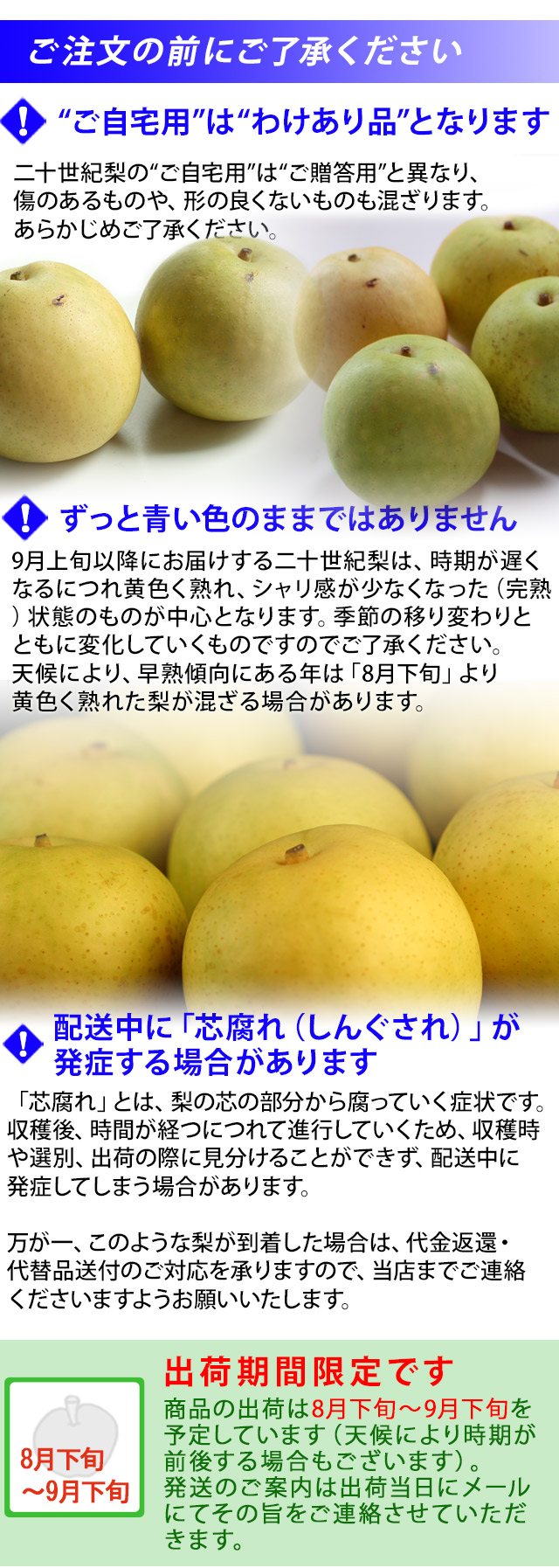 鳥取県産 二十世紀梨(20世紀梨)5kg詰(16玉前後入) 訳あり(ご自宅用) 送料無料 | 風味絶佳.山陰 鳥取県産 二十世紀梨(20世紀梨)5kg詰(16玉前後入) 訳あり(ご自宅用) 送料無料 | 風味絶佳.山陰