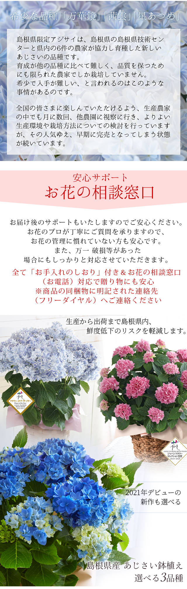 ギフト 島根県産 あじさい鉢植え 選べる3品種 万華鏡 銀河 茜雲 送料無料 北海道 沖縄を除く 風味絶佳 山陰