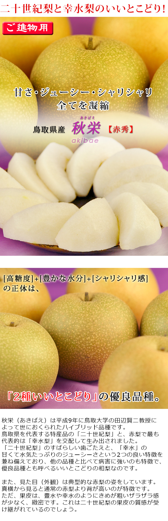 希栄養様☆専用　30個まとめ売り 商品詳細 | トレカアイテムくじOnline