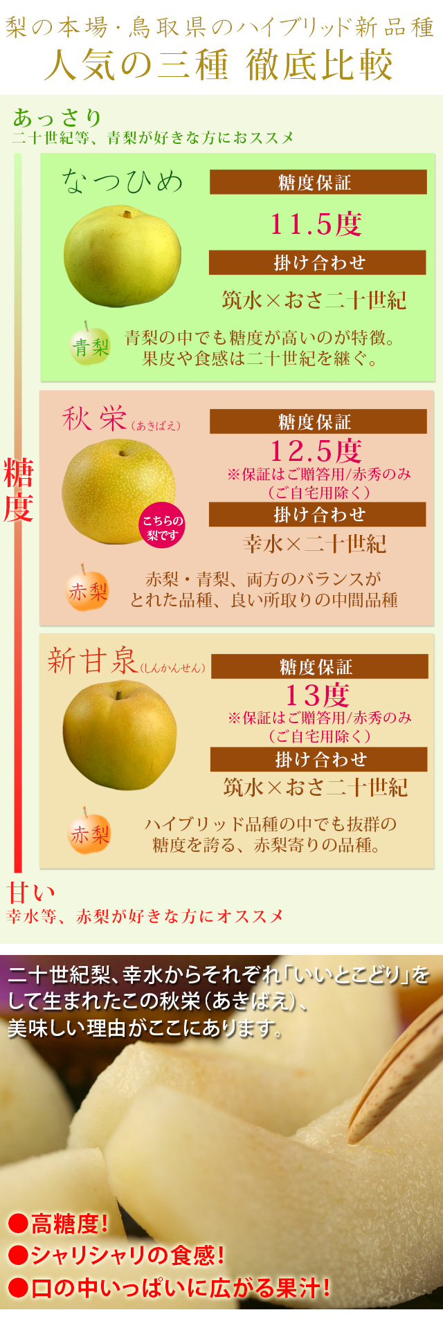黄瀬戸　大橋秋二造　鳥文　盃　書付時代箱　V　6352 秋草に雉蒔絵 小硯箱 江戸時代 | 古美術ささき