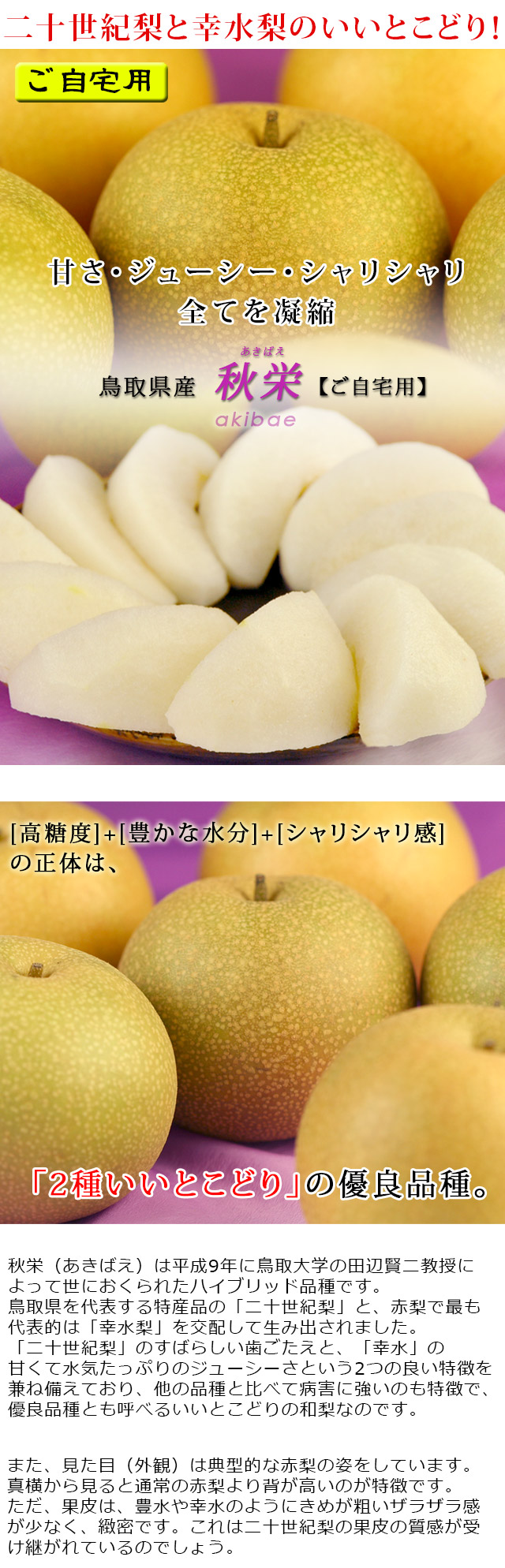 アイナ約10kg訳ありご家庭用×2★送料込★秋田県産 南水梨 訳あり 梨 10kg 送料無料 長野県産 選べる品種！ 幸水 豊水 二十