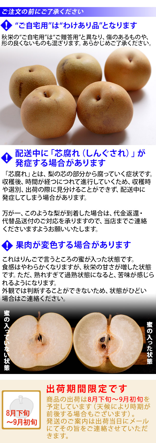 鳥取県産 秋栄（あきばえ）5kg詰（16玉前後入） 訳あり（ご自宅