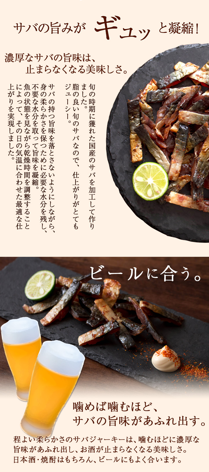 魚介珍味 炙り鯖ジャーキー（プレーン）100g 国産さば使用 おつまみ
