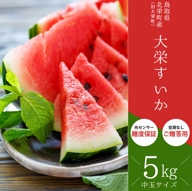 大栄すいか5kg前後（中玉サイズ）×1玉 鳥取県産 ご贈答用大栄スイカ