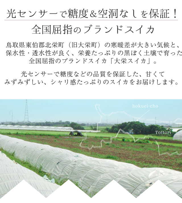 大栄すいか6kg前後（中玉サイズ）×1玉 鳥取県産 ご贈答用大栄スイカ
