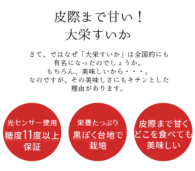 大栄すいか8kg前後（大玉サイズ）×1玉 鳥取県産 ご贈答用大栄スイカ