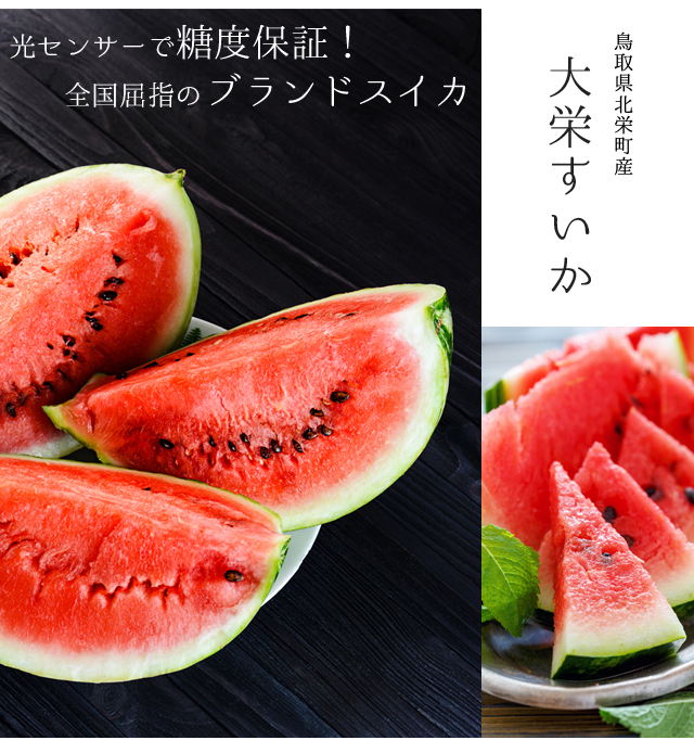 大栄すいか6kg前後(中玉サイズ)×1玉 鳥取県産 ご贈答用大栄 大栄すいか6kg前後(中玉サイズ)×1玉 鳥取県産 ご贈答用大栄