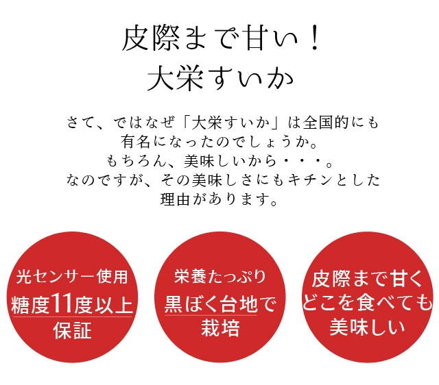 大栄すいか8kg前後（大玉サイズ）×1玉 鳥取県産 ご自宅用大栄スイカ 訳