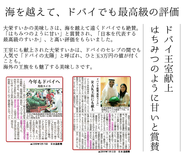 大栄すいか5kg前後 中玉サイズ 1玉 鳥取県産 ご自宅用大栄スイカ 訳あり 送料無料 北海道 沖縄を除く 風味絶佳 山陰 大栄すいか5kg前後 中玉サイズ 1玉 鳥取県産 ご自宅用大栄スイカ 訳あり 送料無料 北海道 沖縄を除く 風味絶佳 山陰