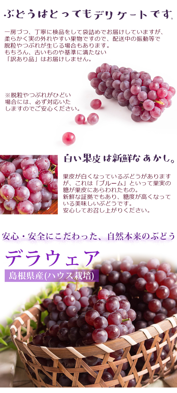 砂丘らっきょう1ｋｇ[冷蔵]［らっきょう漬け同士は同梱可能］