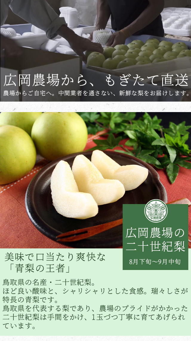 広岡農場の二十世紀梨(20世紀梨)5kg詰(10~18玉入) 鳥取県産 訳あり(ご自宅用) 送料無料(北海道・沖縄を除く) | 風味絶佳.山陰 広岡農場の二十世紀梨(20世紀梨)5kg詰(10~18玉入) 鳥取県産 訳あり(ご自宅用) 送料無料(北海道・沖縄を除く) | 風味絶佳.山陰