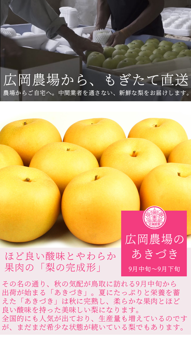 広岡農場のあきづき10kg詰（14～28玉入） 鳥取県産 梨 訳あり（ご自宅