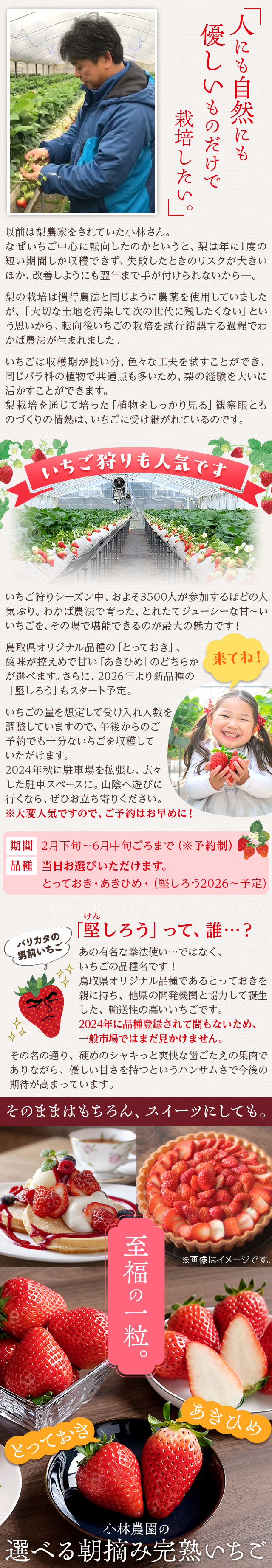 小林農園の選べる朝摘み完熟いちご 約500g（12～15粒） 鳥取県