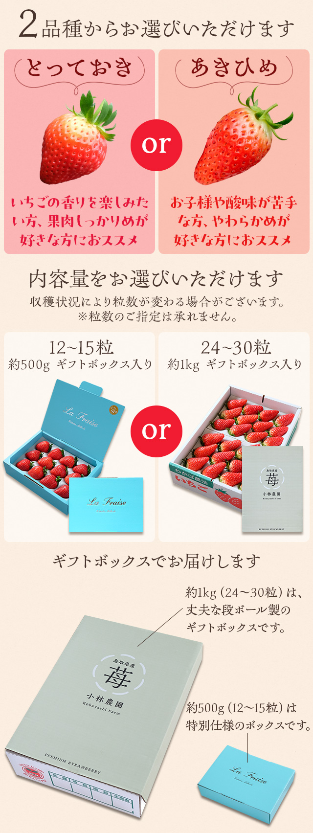 小林農園の選べる朝摘み完熟いちご 約1kg（24～30粒） 鳥取県
