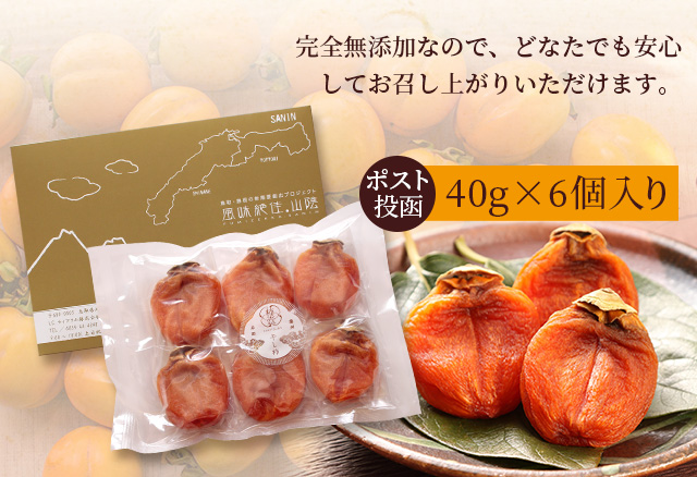 ドラミちゃん専用　干し柿用の西条柿　2コンテナ 西条柿 2L 28玉（5kg） たしなみ【2024年産の販売は終了いたし