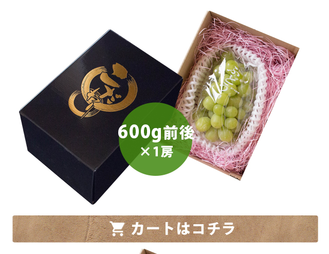桑本農園のシャインマスカット600g前後×1房 ご贈答用 島根県産 送料