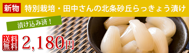 らいむさん専用鳥取県産　玉らっきょう　ML4kg らいむさん専用鳥取県産 玉らっきょう ML4kg 楽天市場】土
