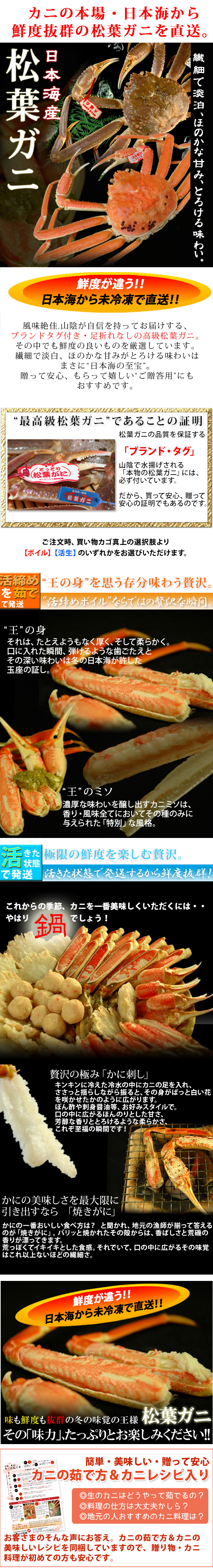 松葉ガニ900g以上（特大サイズ）×2枚　日本海産　送料無料　未冷凍　風味絶佳.山陰