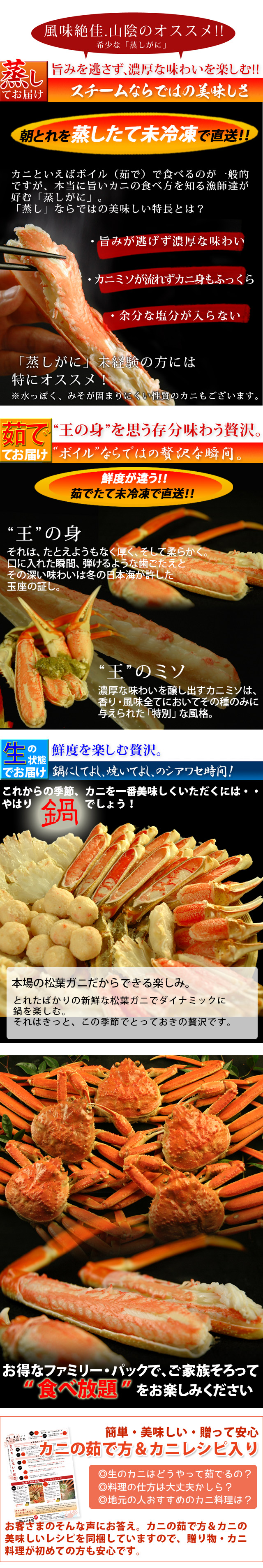 返金保証付 松葉ガニ約1 5kg詰 3 5枚入 訳あり 日本海産 未冷凍 送料無料 風味絶佳 山陰 返金保証付 松葉ガニ約1 5kg詰 3 5枚入 訳あり 日本海産 未冷凍 送料無料 風味絶佳 山陰