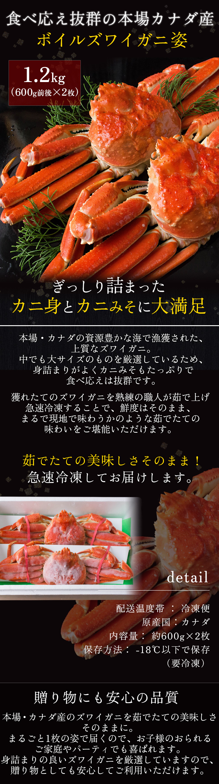 SP 2枚セット