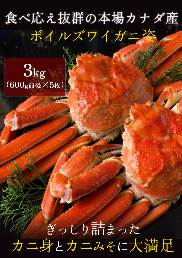 身入り抜群のA級品！】カナダ産ボイルズワイガニ姿・約600g×5