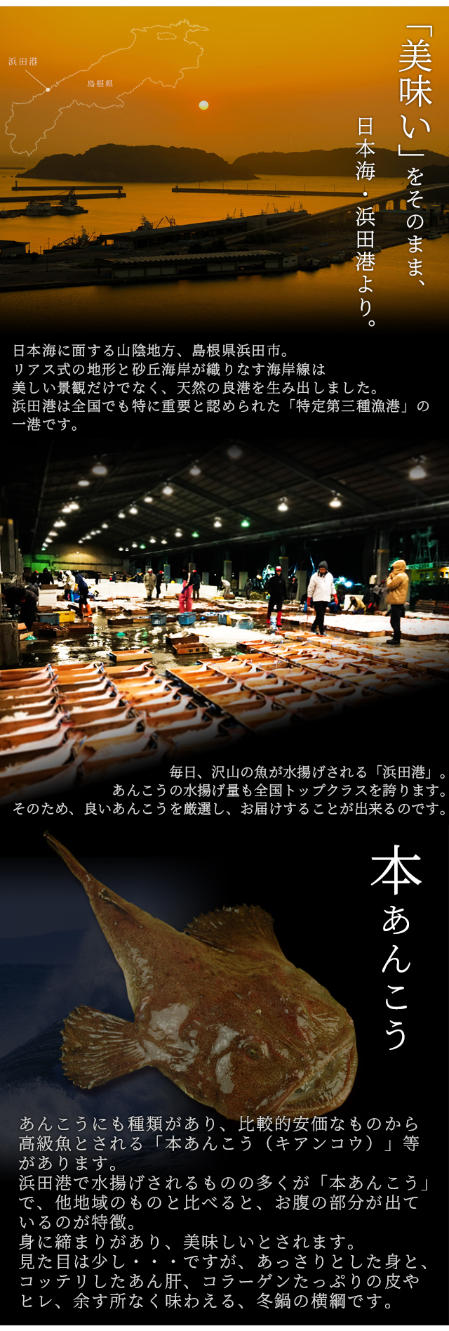 あんこう鍋セット（味噌スープ付き） 2～3人前 島根県浜田産 送料無料