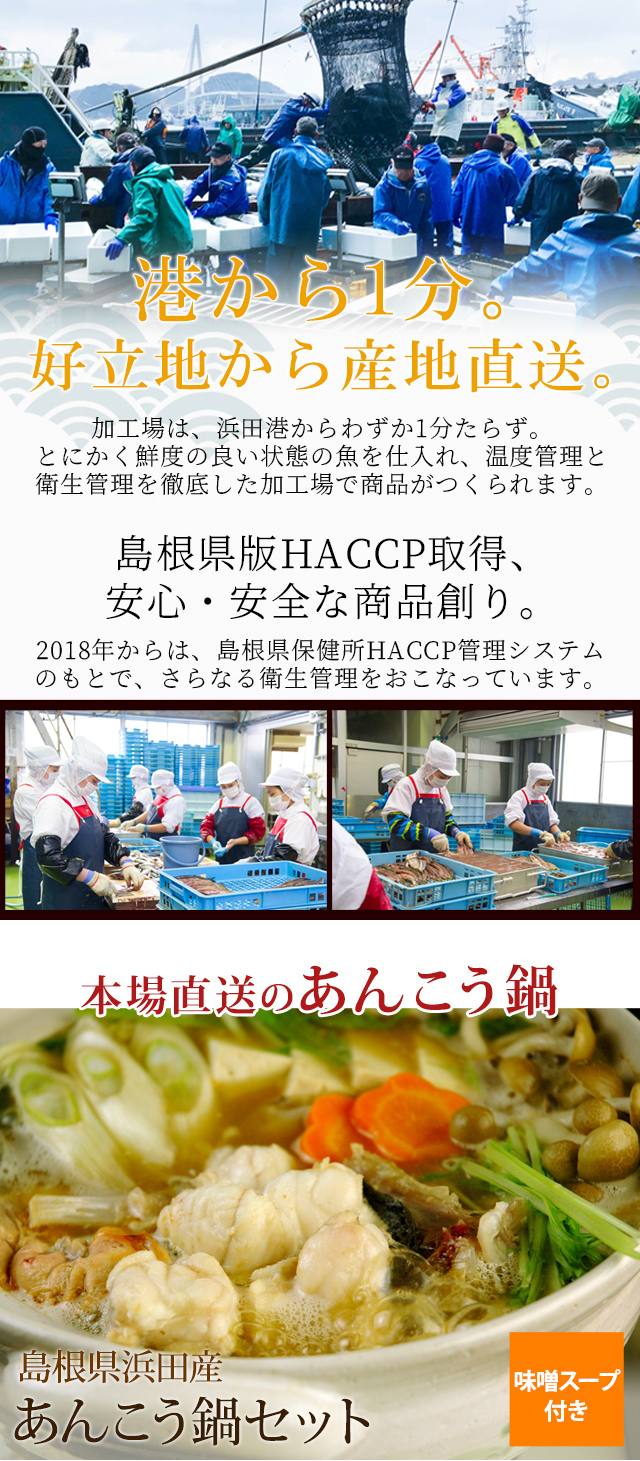 あんこう鍋セット（味噌スープ付き） 2～3人前 島根県浜田産 送料無料