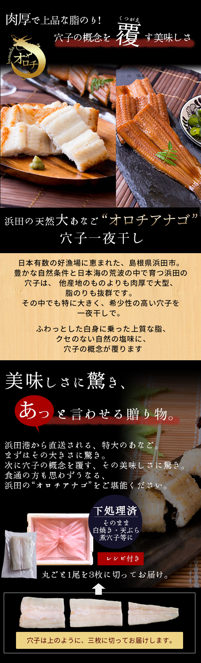 浜田の天然大あなご オロチアナゴ 穴子の一夜干し500 690g 2尾入 島根産 真あなご あなご鍋 無添加 送料無料 北海道 沖縄を除く 風味絶佳 山陰