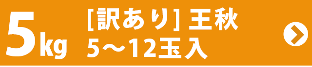 王秋梨（おうしゅうなし）5kg詰（7玉前後入） 鳥取県産 訳あり（ご自宅用） 送料無料 | 風味絶佳.山陰