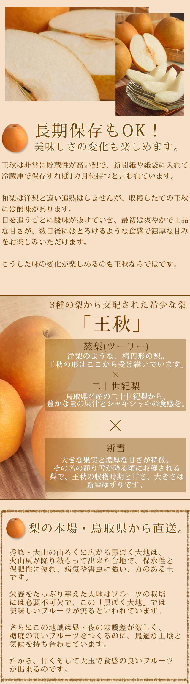 王秋梨（おうしゅうなし）5kg詰（7玉前後入） 鳥取県産 赤秀（ご贈答用） 送料無料 | 風味絶佳.山陰