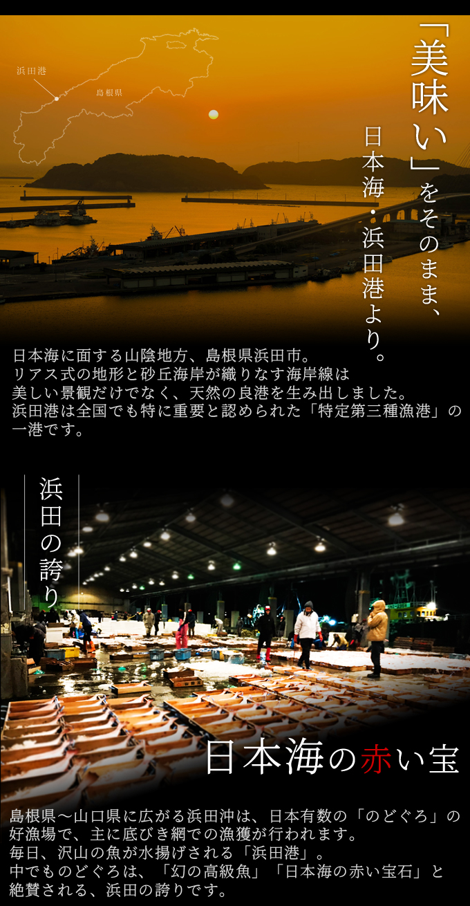島根県浜田産 “無添加”のどぐろ干物 120～160g（中サイズ）×5枚入 送料無料（北海道・沖縄を除く） | 風味絶佳.山陰