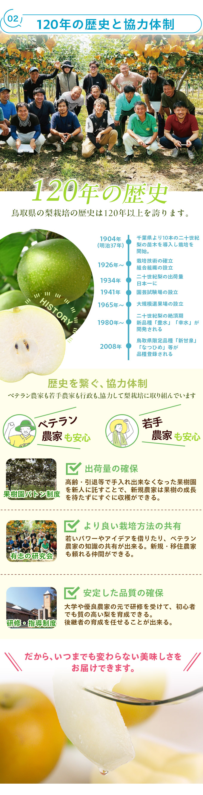 鳥取県産 新甘泉（しんかんせん）2kg詰（5～6玉入） 梨 赤秀
