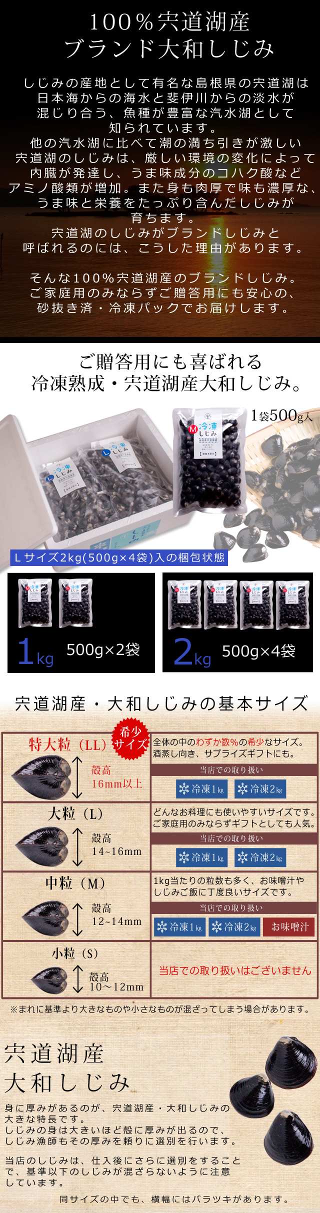 宍道湖産 冷凍しじみ1kg（特大粒） 砂抜き済 送料無料 | 風味絶佳.山陰