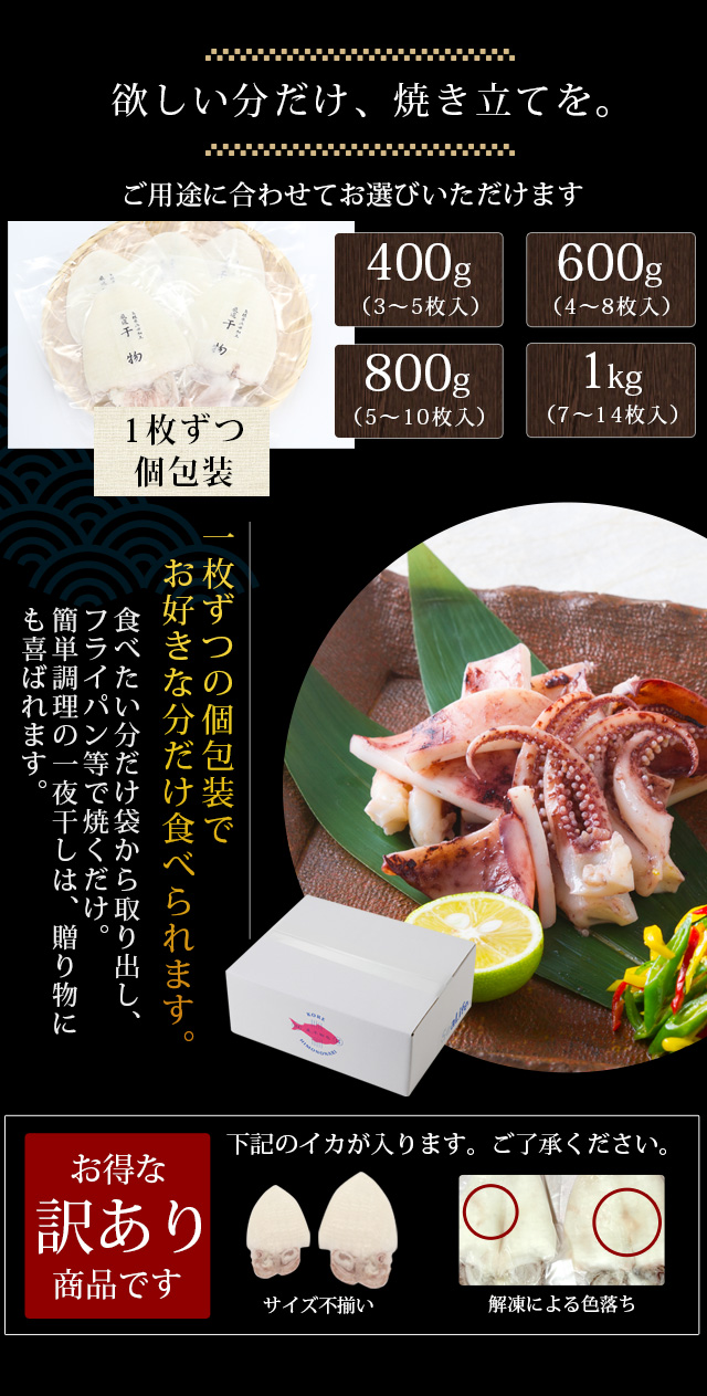 2箱、人気No1 「白烏賊(剣先)4k位」お刺身用 『魚王国』境港産 2箱、人気No1 「白烏賊(剣先)4k位」お刺身用 『魚王国』境港産
