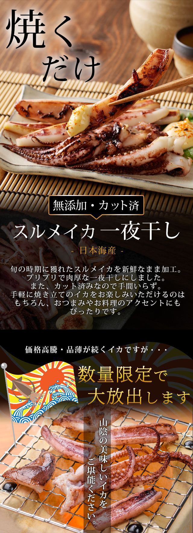 スルメイカ 一夜干し800g（カット済み） 日本海産 ゲソ入り するめいか