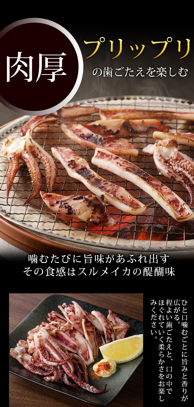 スルメイカ 一夜干し800g（カット済み） 日本海産 ゲソ入り