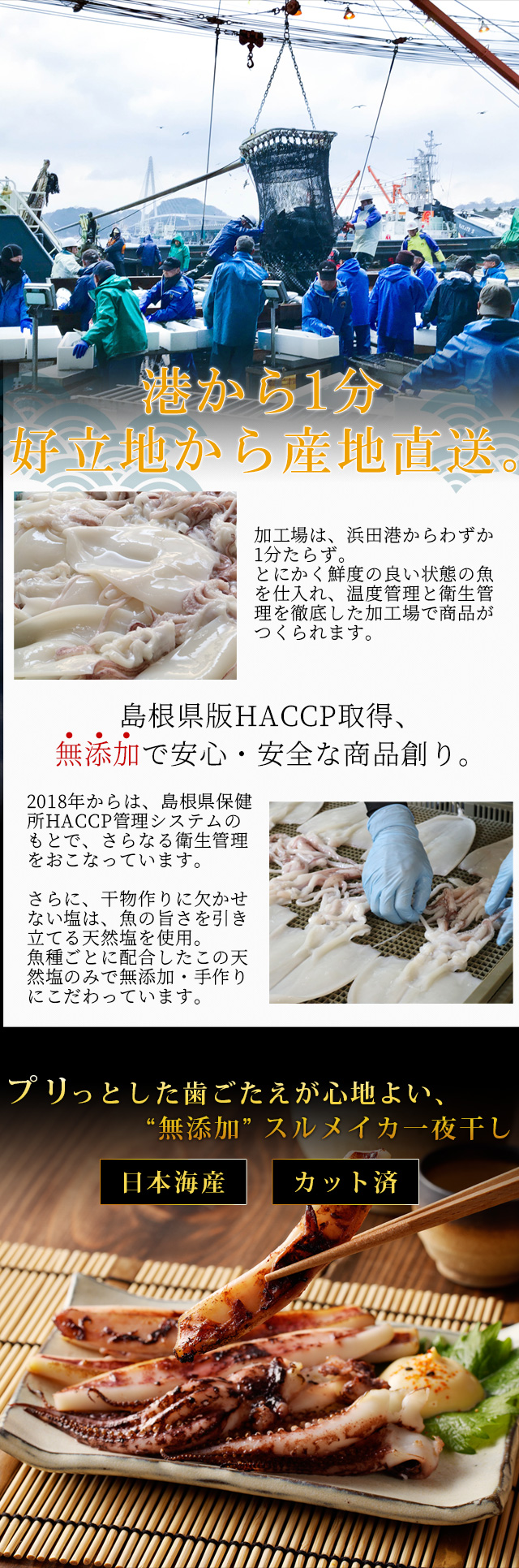 スルメイカ 一夜干し600g（カット済み） 日本海産 ゲソ入り するめいか