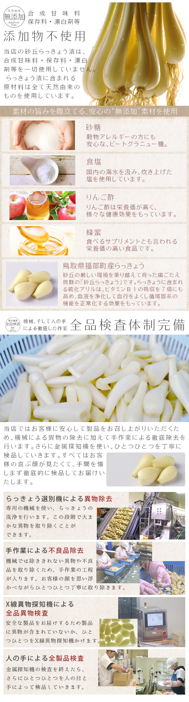 砂丘らっきょう漬け 鳥取県福部町産 選べる3パックセット 無添加