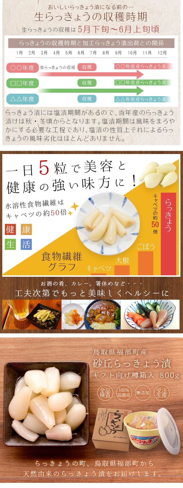 砂丘らっきょう漬け 鳥取県福部町産 ギフト向け樽箱入800g 無