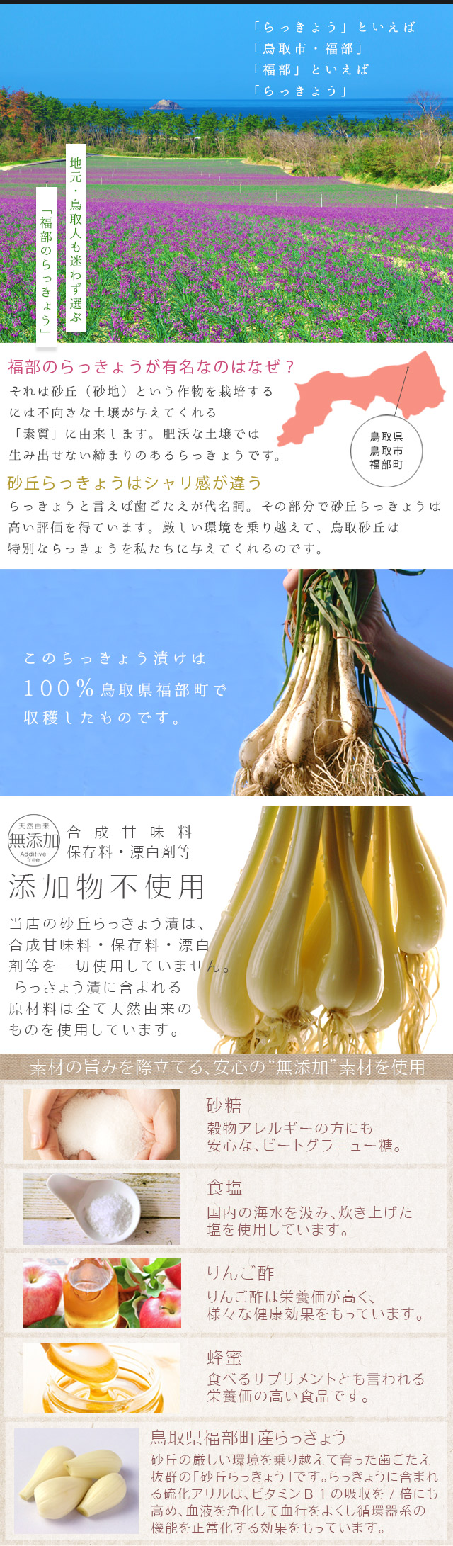 砂丘らっきょう漬け 鳥取県福部町産 ギフト向け樽箱入1.2kg 無添加 砂丘らっきょう漬け 鳥取県福部町産 ギフト向け樽箱入1.2kg 無添加