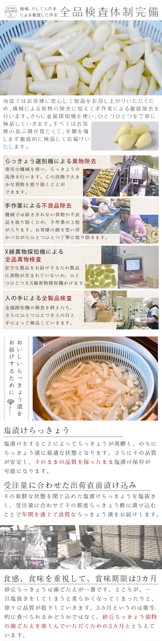 鳥取県産 農薬不使用 砂丘らっきょう 玉らっきょう 鳥取県産 農薬不使用 砂丘らっきょう 玉らっきょう 食品