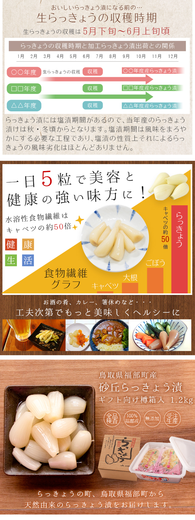 砂丘らっきょう漬け 鳥取県福部町産 ギフト向け樽箱入1 2kg 無添加 国産 送料無料 北海道 沖縄を除く 風味絶佳 山陰