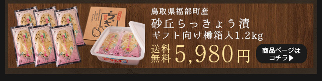 砂丘らっきょう漬け 鳥取県福部町産 ギフト向け樽箱入800g 無
